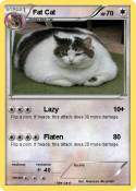 Fat Cat