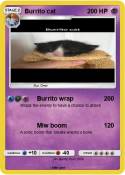 Burrito cat