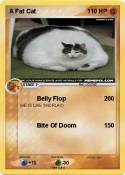 A Fat Cat