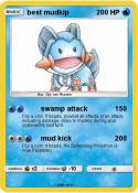 best mudkip