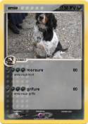  emie