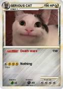 SERIOUS CAT