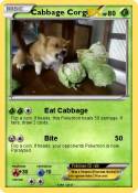 Cabbage Corgi