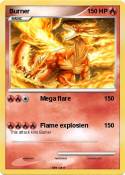 Burner