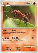 Ant