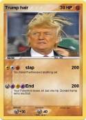 Trump hair
