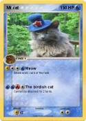 Mr.cat