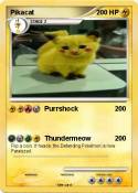 Pikacat
