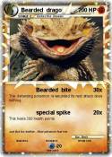 Bearded drago