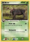 Mr Moose