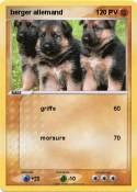 berger allemand