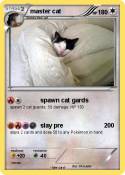 master cat