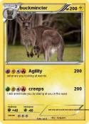 buckmincter
