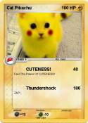 Cat Pikachu