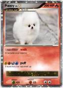 Puppy