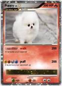 Puppy