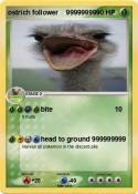 ostrich followe