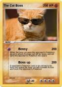 The Cat Boss