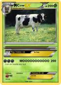 Cow