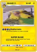 BUGIE!!!!!