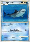 Tiger shark