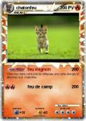 chatonfeu