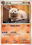 the cat