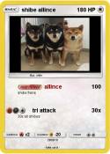 shibe allince