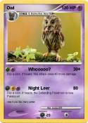 Owl