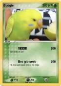 Budgie