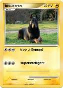 beauceron