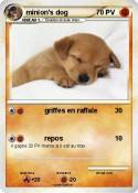 minion's dog