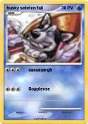 husky sebrien