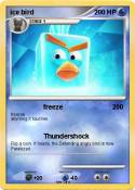 ice bird