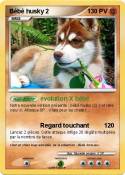 Bébé husky 2
