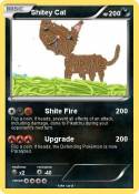 Shitey Cat