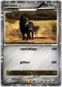 lion noire