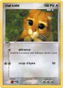 chat botté