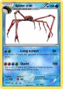 Spider crab