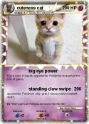 cuteness cat