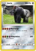 Gorile