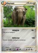 Éléphant