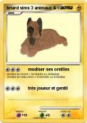 briard sims 3