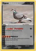 Pigeon