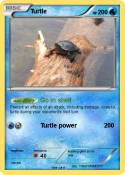 Turtle