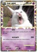 that rabbit