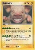 Elektrik-Pig