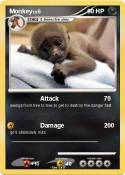 Monkey