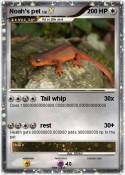 Noah's pet