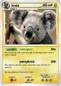 koala